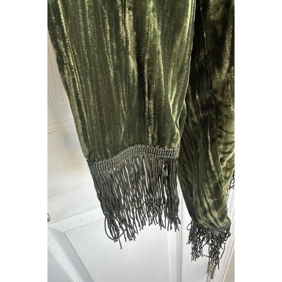 Something Navy Phoebe Velvet Emerald Shirt Dress Fringe S NWT Whimsigoth Vamp - Picture 5 of 11